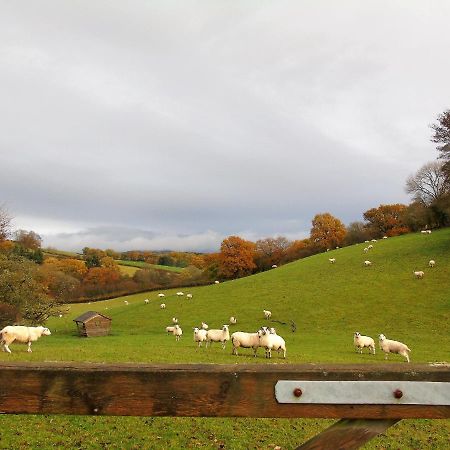 Gwilym'S Stable Apartment Builth Wells Bagian luar foto