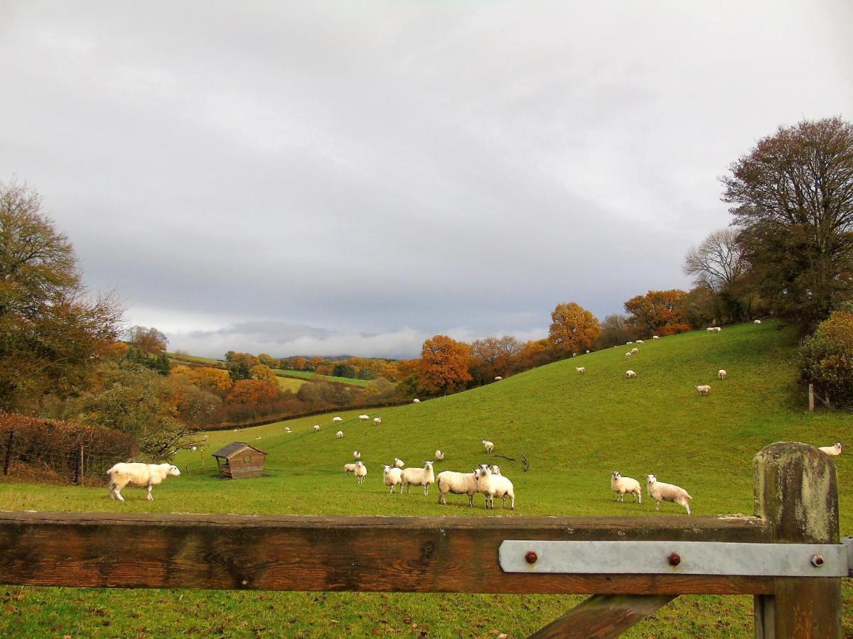 Gwilym'S Stable Apartment Builth Wells Bagian luar foto